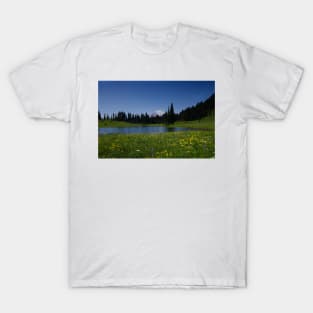 850_4627 T-Shirt